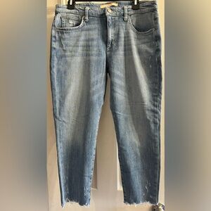 Joe's Jeans Classic Blue Denim